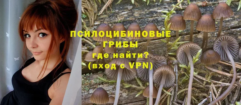 Галлюциногенные грибы Cubensis  Кумертау 